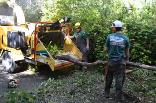 tree services Painted Hills